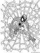 lamina para imprimir y colorear Spiderman - Hombre Ara&ntilde;a